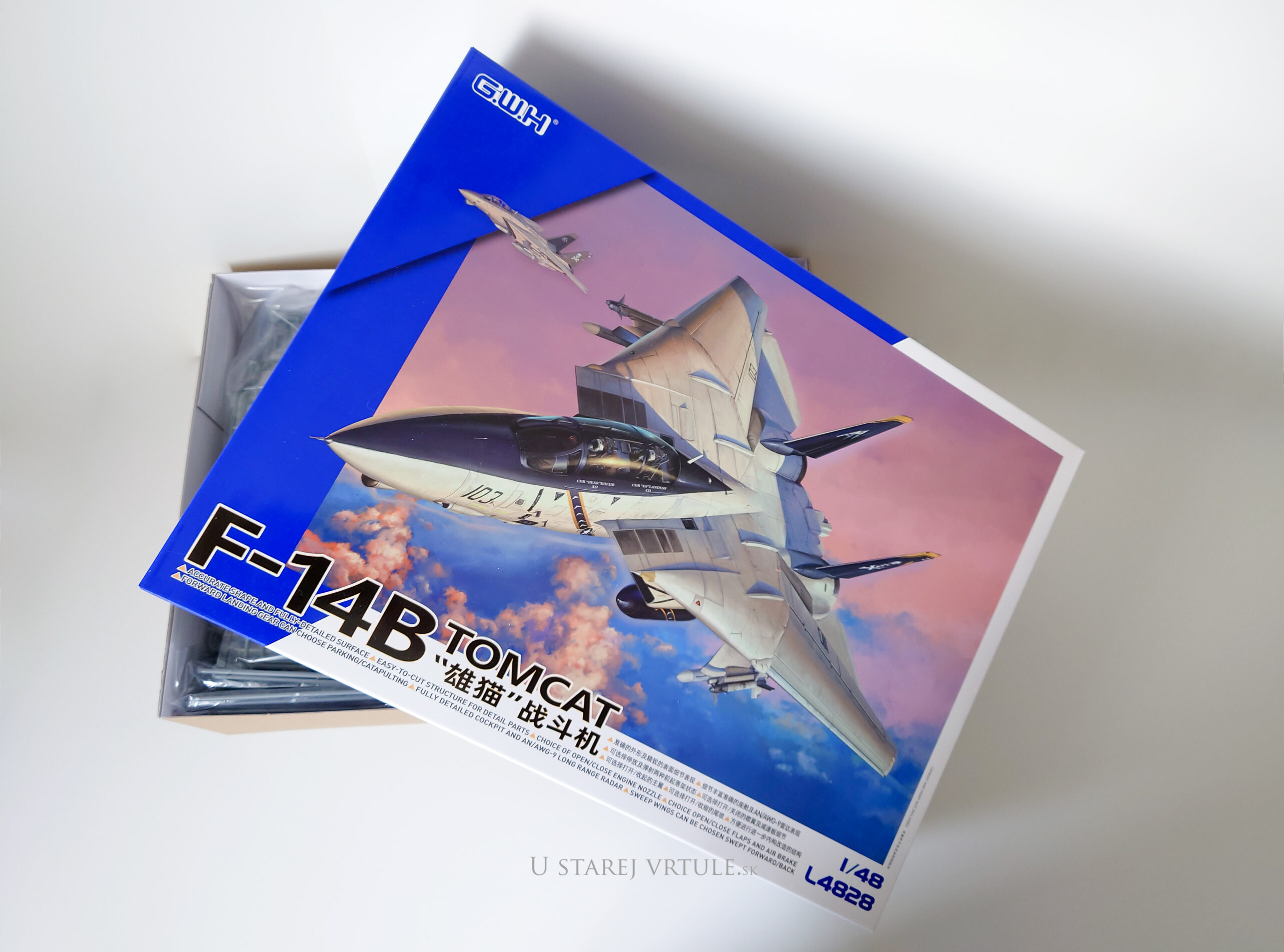 F-14B Tomcat 1/48
