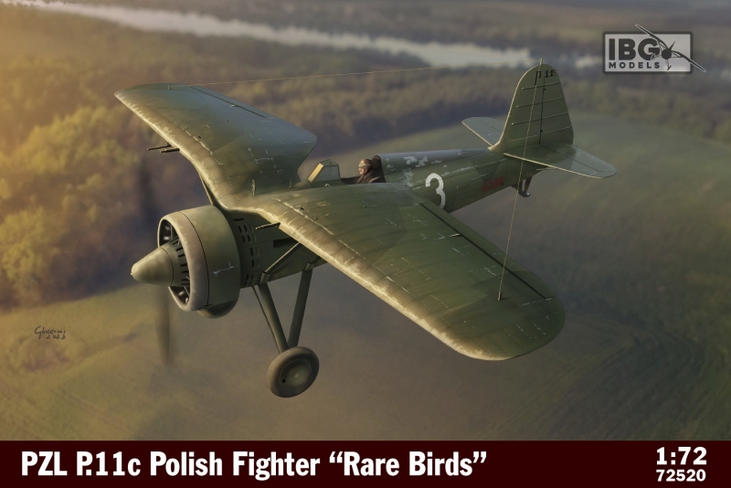 PZL P.11c Polish Fighter "Rare Birds" 1/72