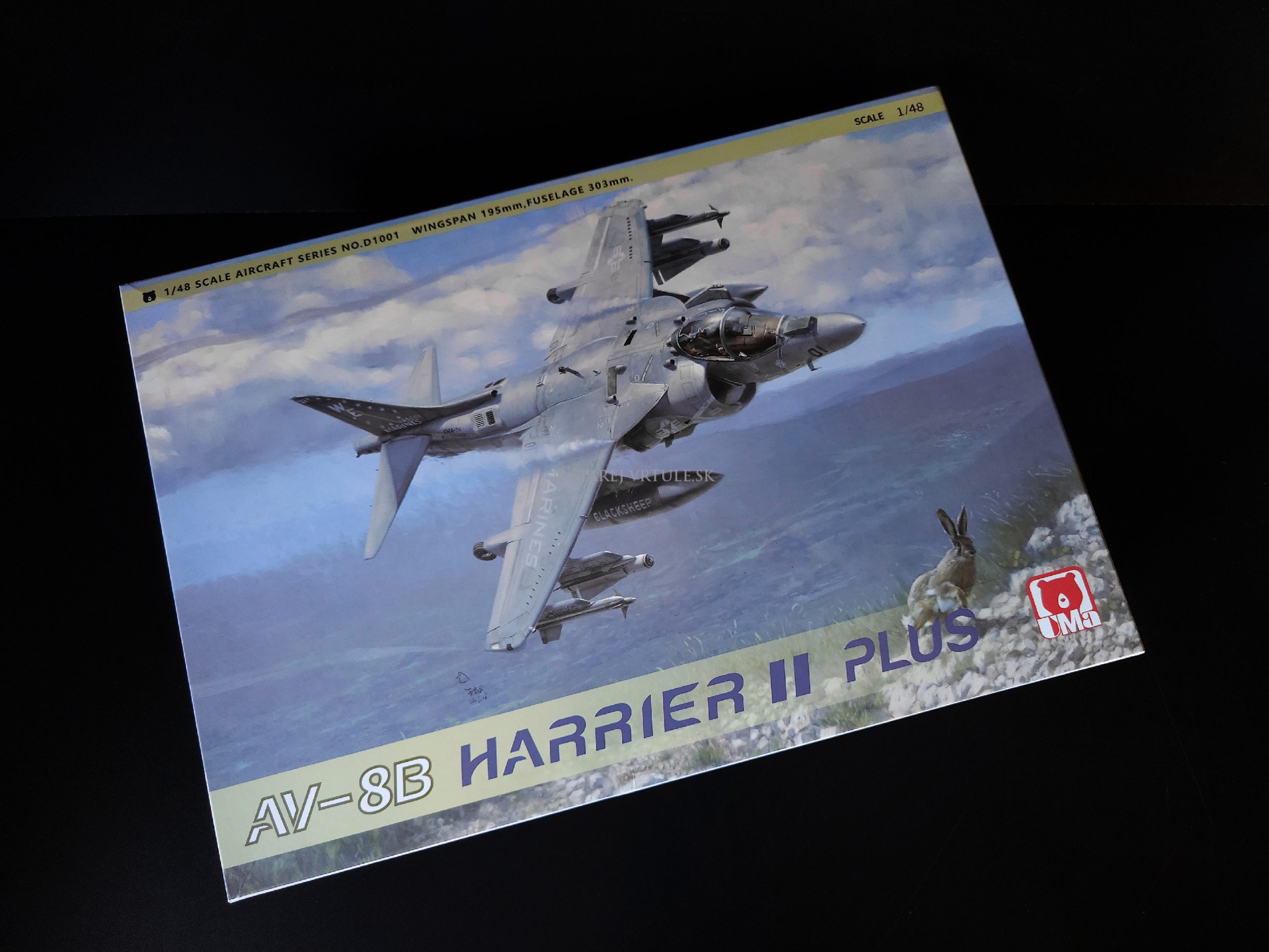 AV-8B Harrier II Plus 1/48