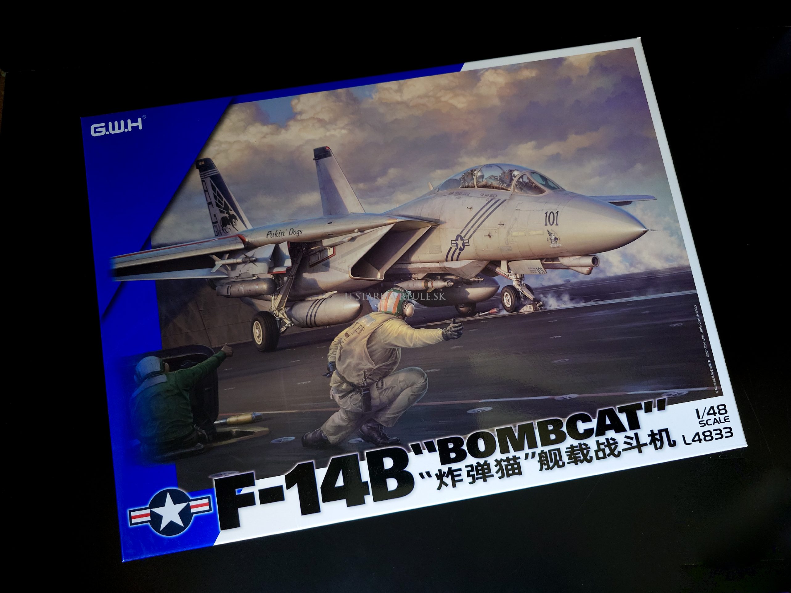 F-14B "Bombcat" 1/48