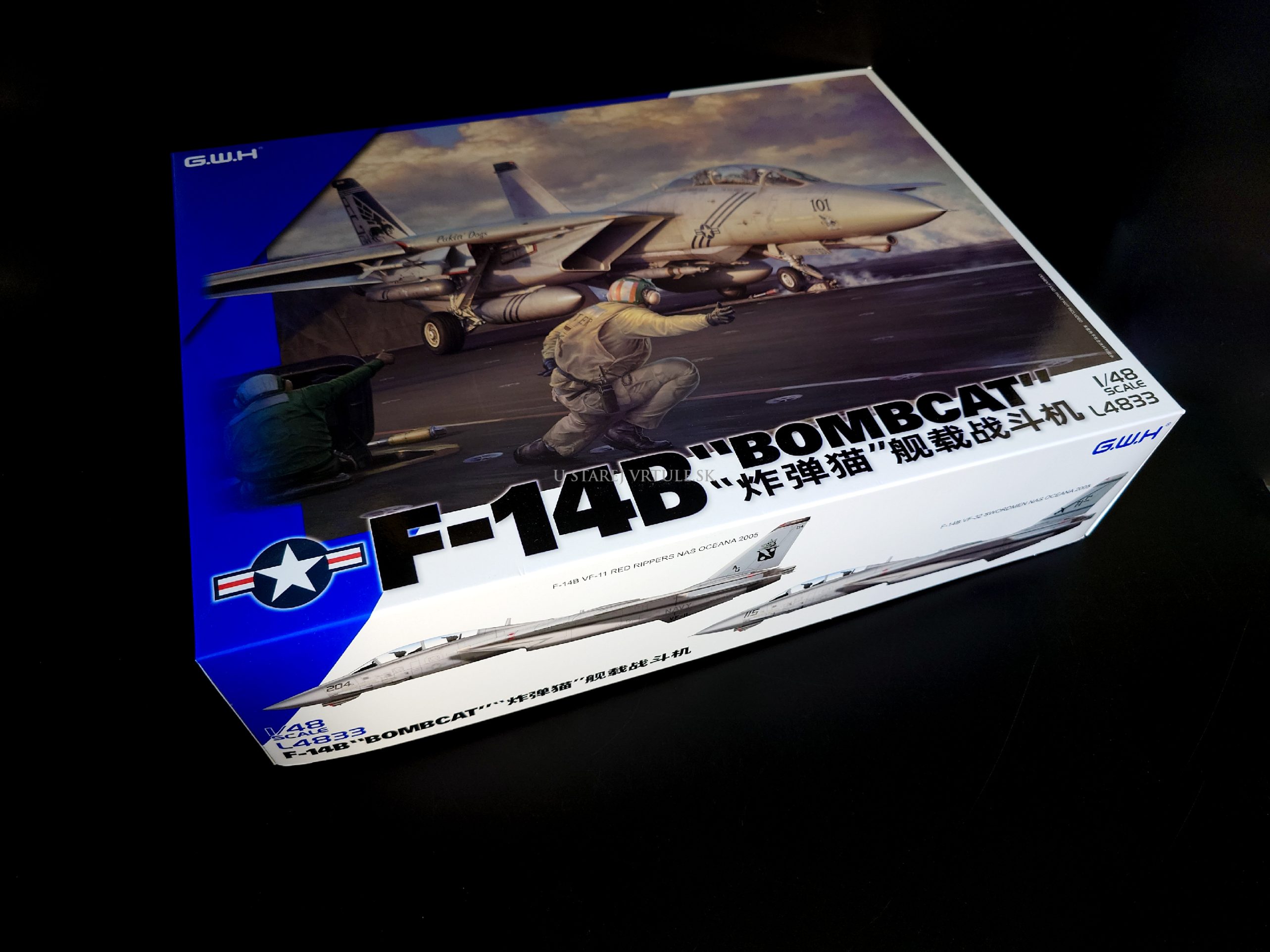 F-14B "Bombcat" 1/48