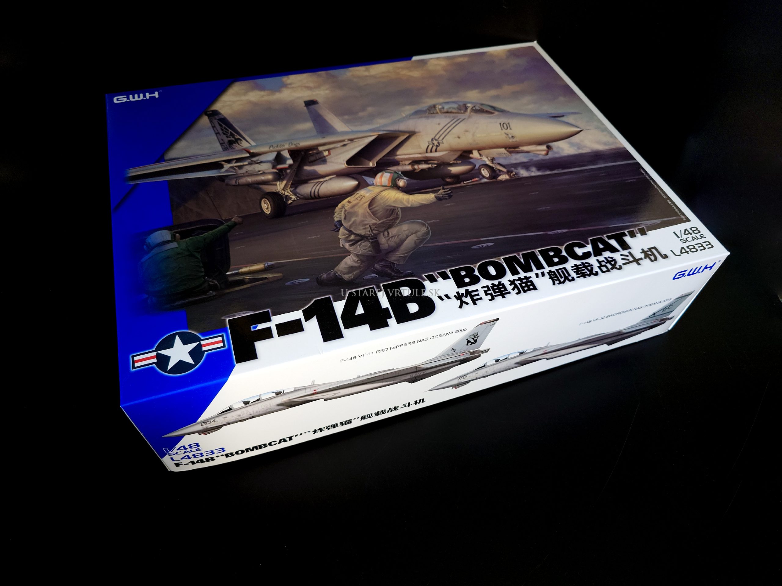 F-14B "Bombcat" 1/48 – Obrázok 3