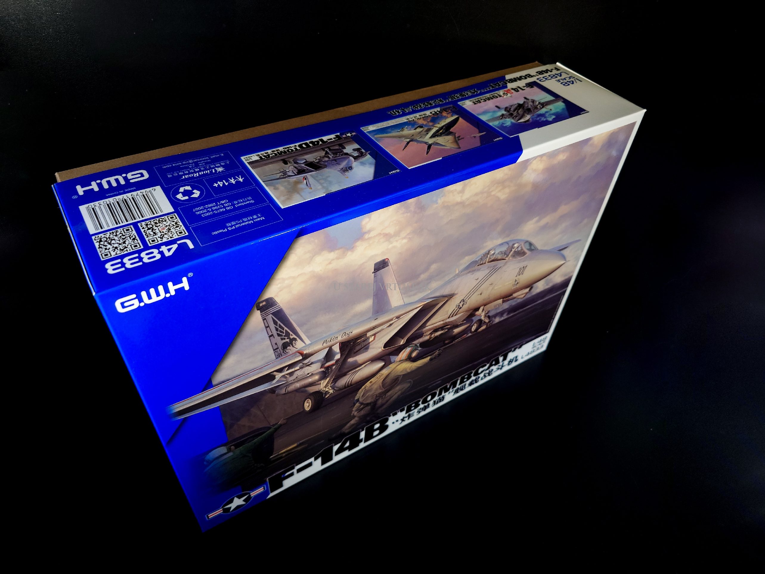 F-14B "Bombcat" 1/48