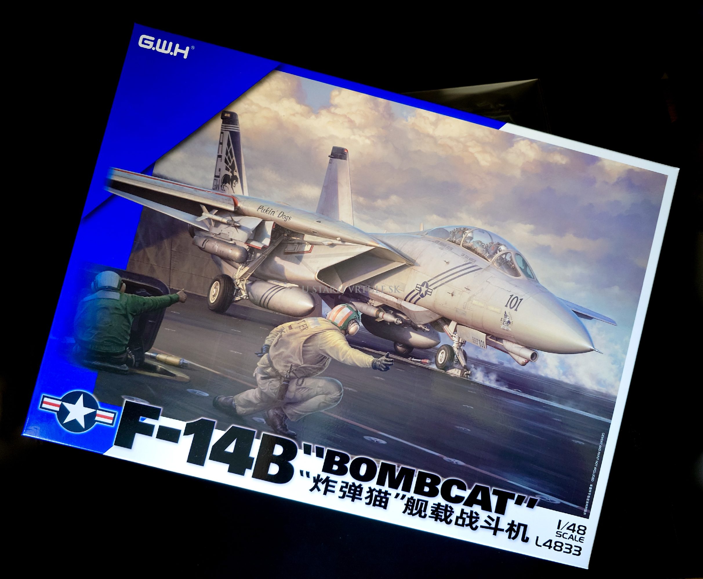 F-14B "Bombcat" 1/48