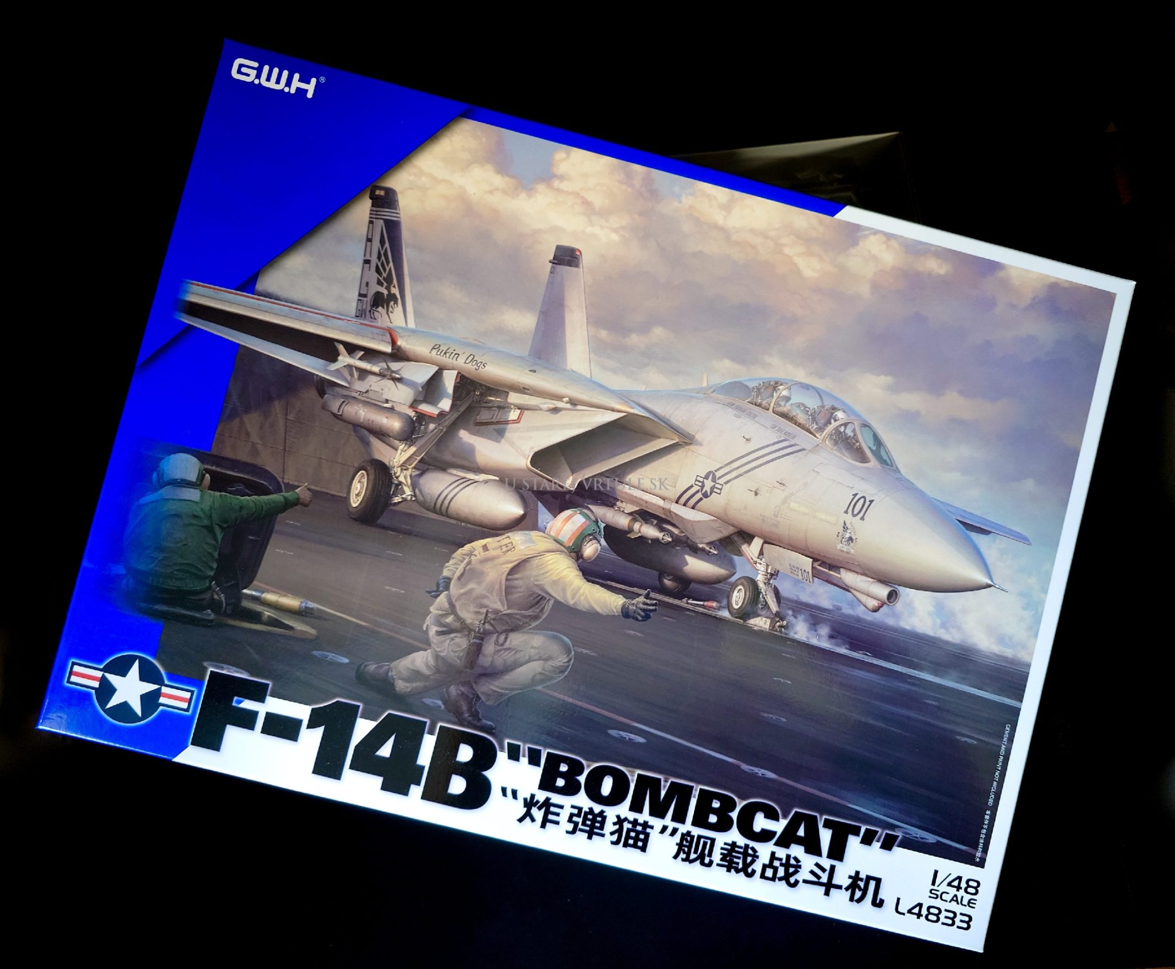 F-14B "Bombcat" 1/48 – Obrázok 1