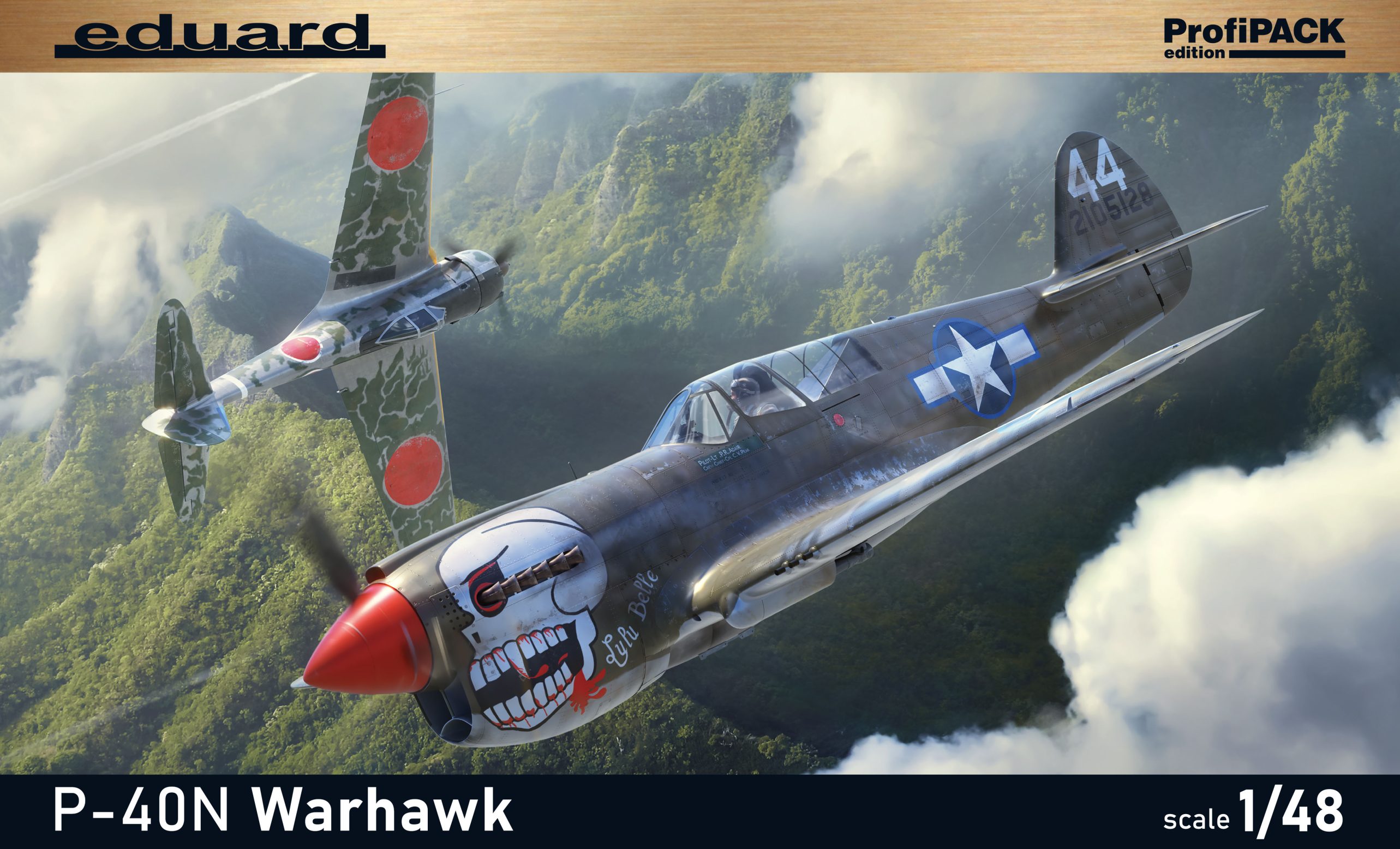 P-40N Warhawk 1/48 ProfiPack