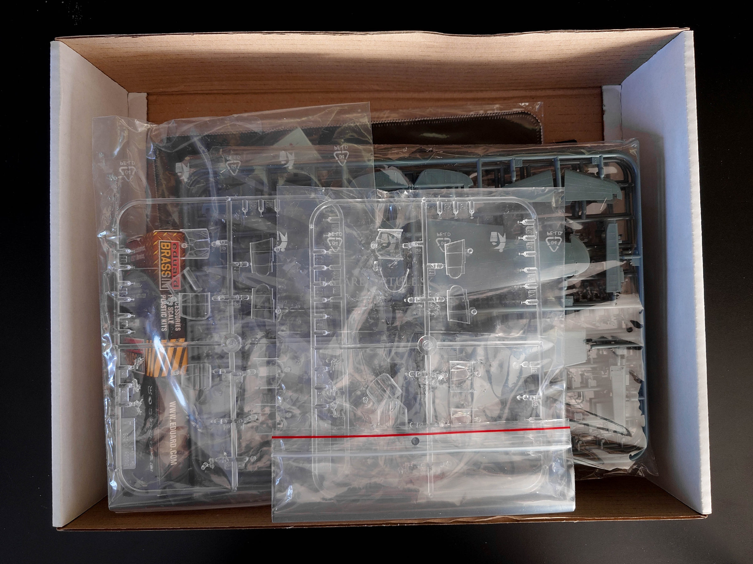 P-40K Warhawk Royal Class Dual Combo 1/48