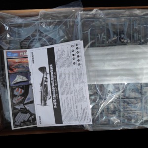P-47D Thunderbolt Razorback 1/24 - Image 4