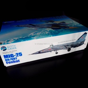 MiG-25RB/RBT Foxbat 1/48 - Image 2