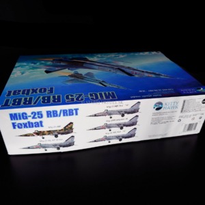 MiG-25RB/RBT Foxbat 1/48 - Image 3