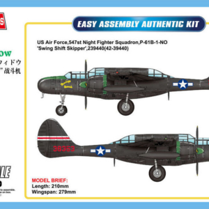 US P-61C Black Widow - Image 1