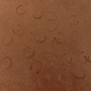 HORSESHOES - Image 2