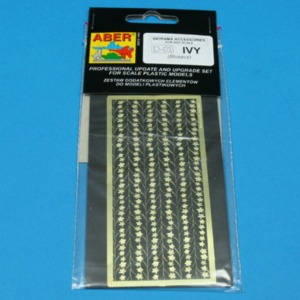 Ivy - Image 3