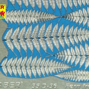 Fern fronds - Image 1