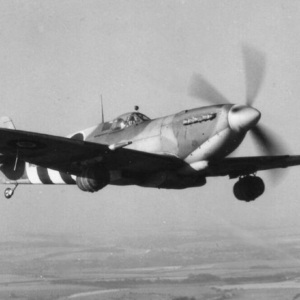 Beer Spitfire Mk IX - Image 3