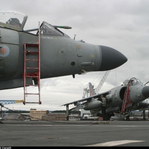 Step ladders for Hunter and Harrier (2pcs) - Image 3
