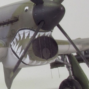 Typhoon air intake mesh (Airfix) - Image 3