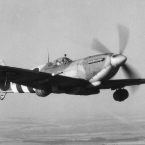 Beer Spitfire Mk IX - Image 3