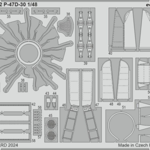 P-47D-30 - Image 2