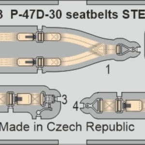 P-47D-30 - Image 5