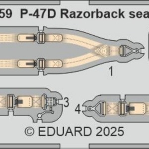 P-47D Razorback for Miniart - Image 3